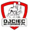 logo strony ojciec w formie, sylwetka umięśnionego ojca z dwoma synami, otoczone tarczą i z tabliczką z napisem ojciec w formie